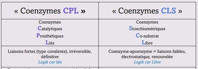 Capture web_15-11-2022_124532_.jpeg