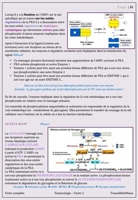 Capture web_15-11-2022_13640_.jpeg