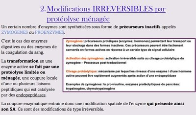 Capture web_15-11-2022_131535_.jpeg