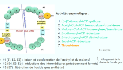 Capture d'écran_20221116_220415.png