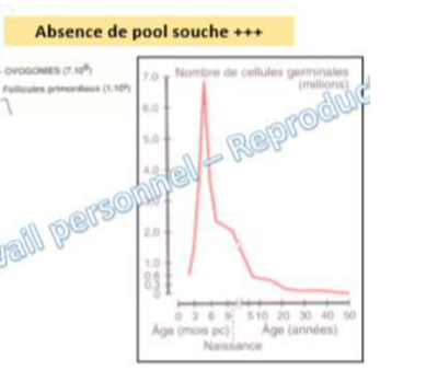 Capture d’écran 2022-11-17 à 09.22.10.png