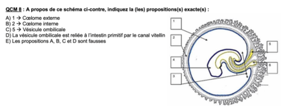Capture d’écran 2022-11-18 à 10.10.01.png