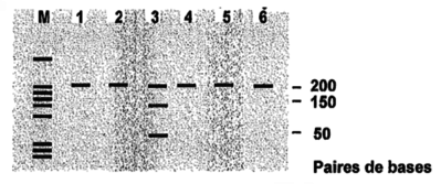 Capture d’écran 2022-10-20 à 14.43.35.png
