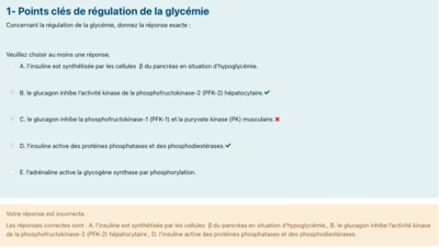 Capture d’écran 2022-11-20 à 12.40.00.png