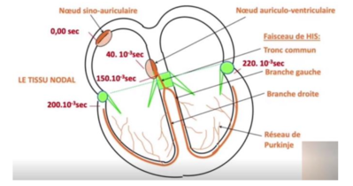 Capture d’écran 2022-11-20 à 14.08.58.png