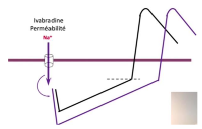 Capture d’écran 2022-11-20 à 14.24.37.png