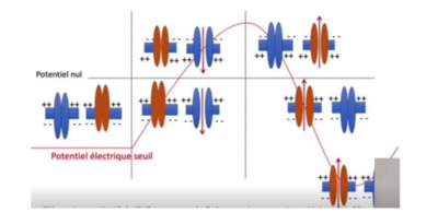 Capture d’écran 2022-11-21 à 19.49.46.png