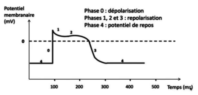 Capture d’écran 2022-11-21 à 19.49.21.png