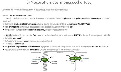 Capture web_22-11-2022_132542_drive.google.com.jpeg