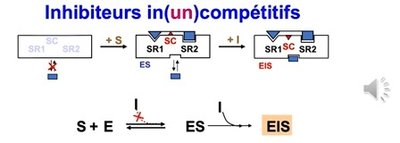 Capture web_22-11-2022_152434_lms.univ-cotedazur.fr.jpeg