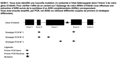 Capture d’écran 2022-11-26 à 13.36.34.png