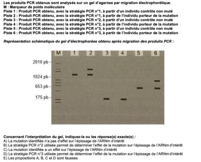 Capture d’écran 2022-11-26 à 13.36.42.png