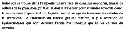 Capture d’écran 2022-11-30 à 12.36.36.png