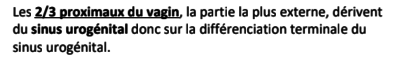 Capture d’écran 2022-12-03 à 20.17.08.png