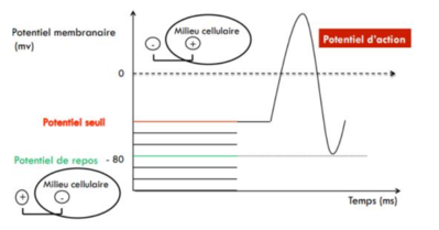 Capture d’écran 2022-12-04 à 09.09.12.png