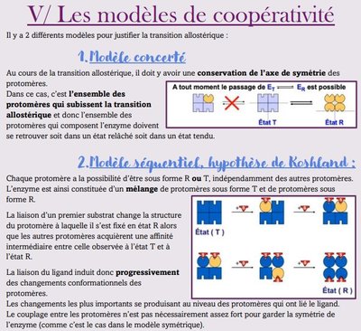 Capture web_5-12-2022_11828_.jpeg