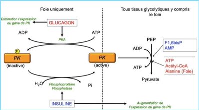 Capture web_5-12-2022_11241_.jpeg