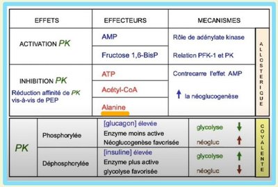 Capture web_5-12-2022_13756_.jpeg