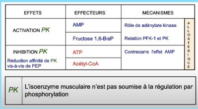 Capture web_5-12-2022_13923_.jpeg