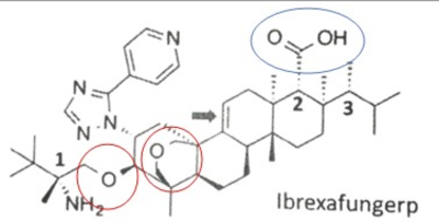 Capture d’écran 2022-12-07 à 22.37.21.png