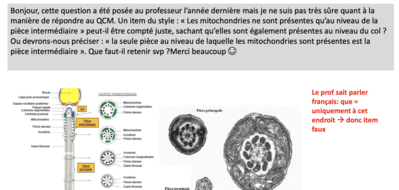 Capture d’écran 2022-12-09 à 07.21.53.png