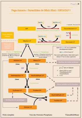 Capture web_9-12-2022_15465_.jpeg