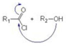 Capture d’écran 2022-12-11 164509.png