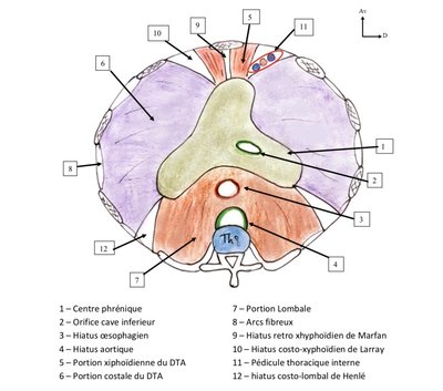 DTA vue supérieure.jpg
