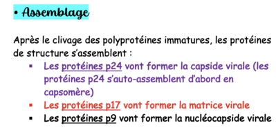 Capture d’écran 2023-01-23 à 08.10.35.png