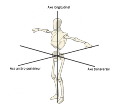 Axes du corps humain.png