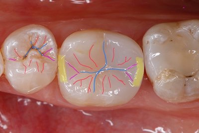 Image 24-01-2023 à 15.09.jpeg