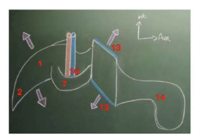 Visualisation du rostrum.png