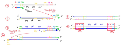 Capture d’écran 2023-02-07 à 13.03.15.png