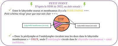 Schéma récap' périlymphe endolymphe.jpg