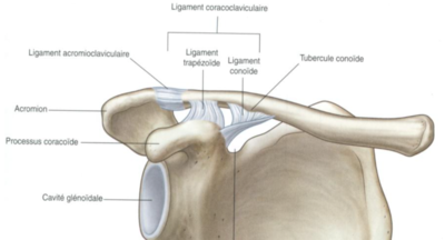 Capture d’écran 2023-02-16 à 19.11.26.png