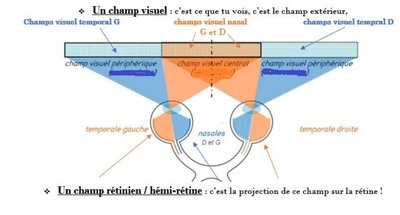 ODS - Capture 14.jpg