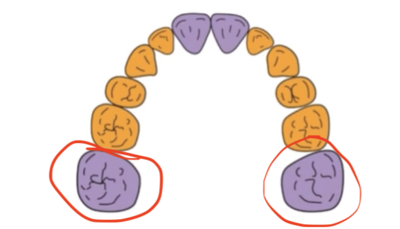 Capture d’écran 2023-02-25 à 17.52.59.png