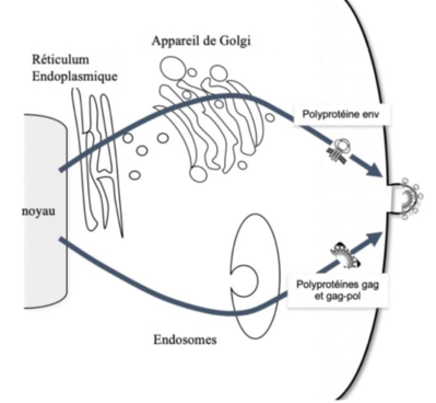 Capture d’écran 2023-02-26 à 18.06.35.png