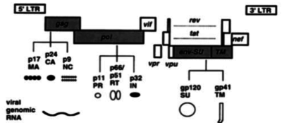 Capture d’écran 2023-02-26 à 18.09.46.png