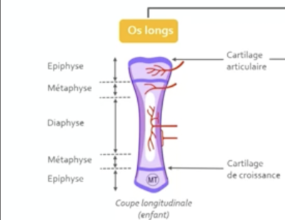 Capture d’écran 2023-03-02 à 13.35.02.png