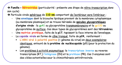 Capture d’écran 2023-03-05 à 10.14.59.png