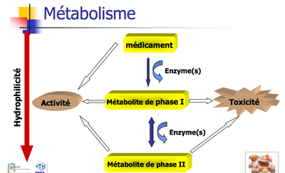Capture d’écran 2012-03-07 à 15.01.43.png