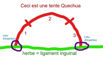 Schéma tente Quechua.jpg