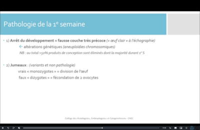 Capture d’écran 2023-03-07 à 14.22.50.png
