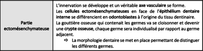 Capture d’écran 2023-03-12 à 06.40.19.png
