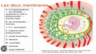 Capture d’écran 2023-03-14 à 15.01.05.png