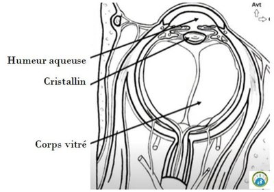 ODS - Capture 10.jpg
