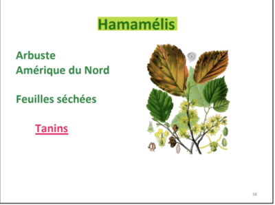 Capture d’écran 2023-03-19 à 16.15.33.png