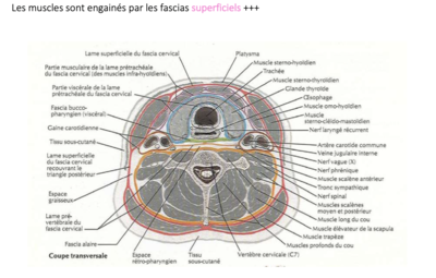 Capture d’écran 2023-03-28 à 08.55.46.png