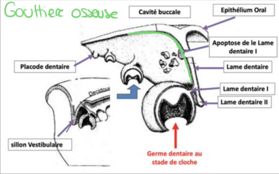 Capture d’écran 2023-03-28 à 16.37.19.png